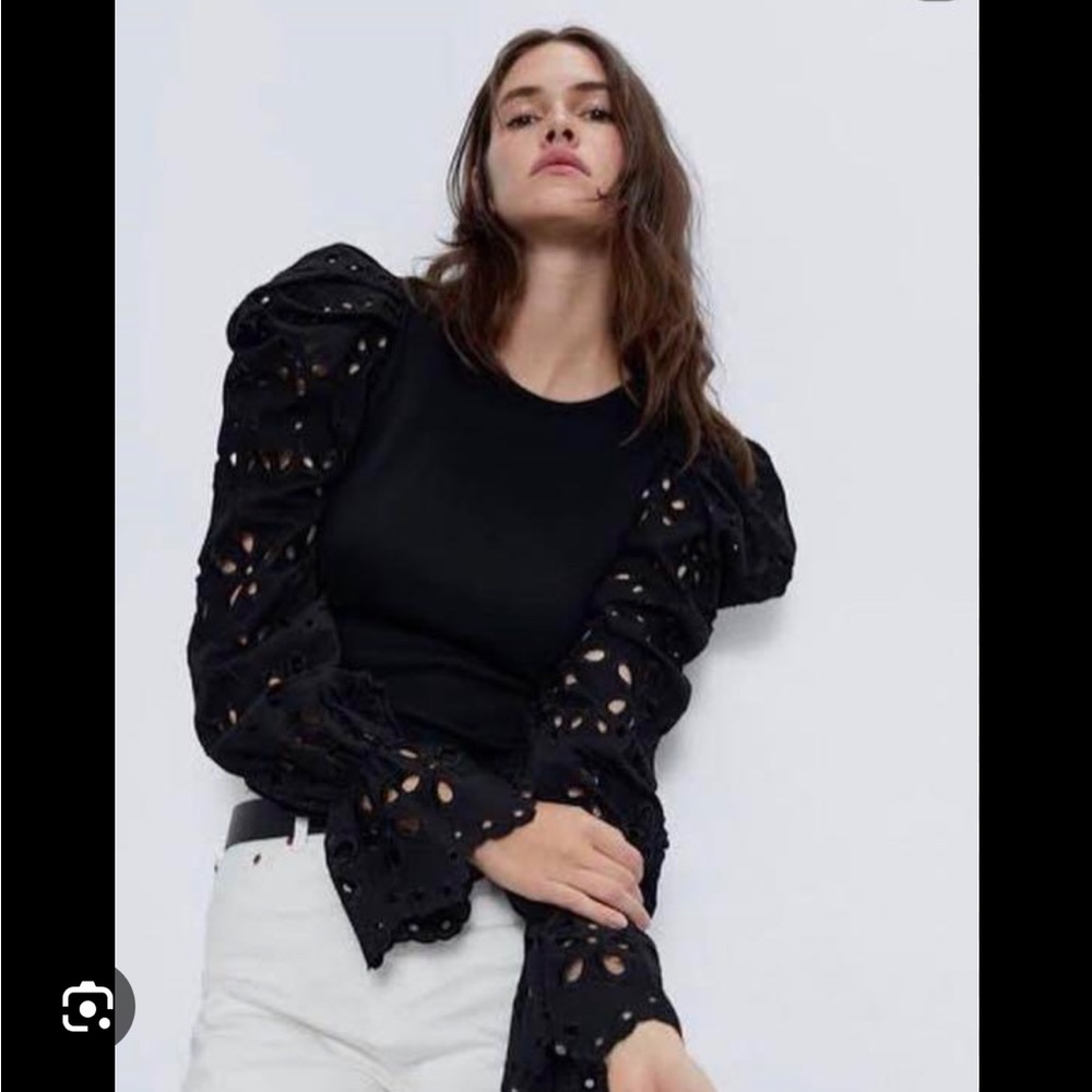 Blouse with embroidered sleeves NWT